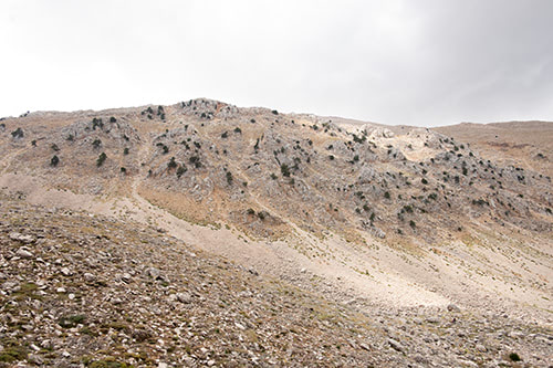 Blick auf Sonnenflecken auf Berghang